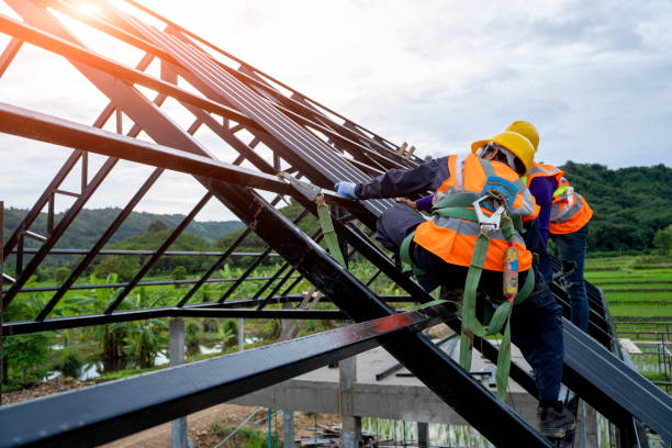 Roof Gutter Cleaning in North Lewisburg, OH