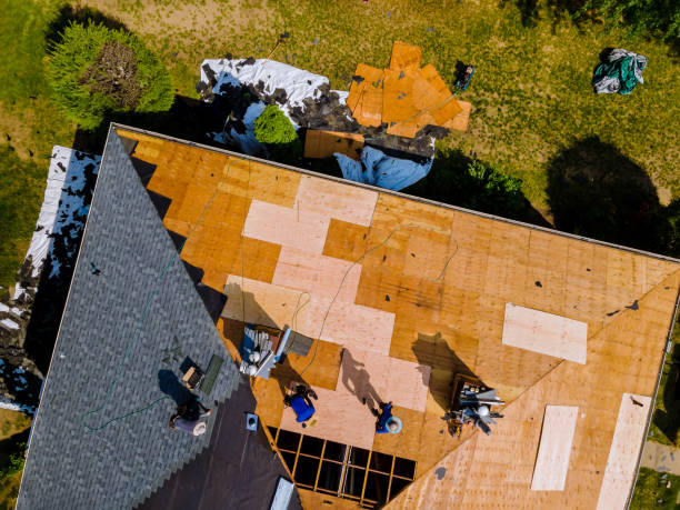 Best Roof Waterproofing Services  in North Lewisburg, OH