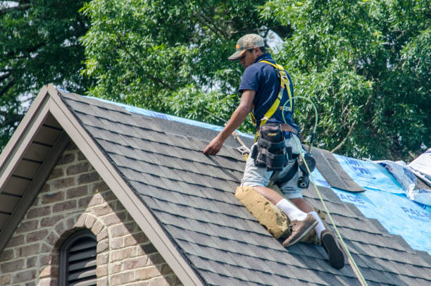 Roof Gutter Cleaning in North Lewisburg, OH